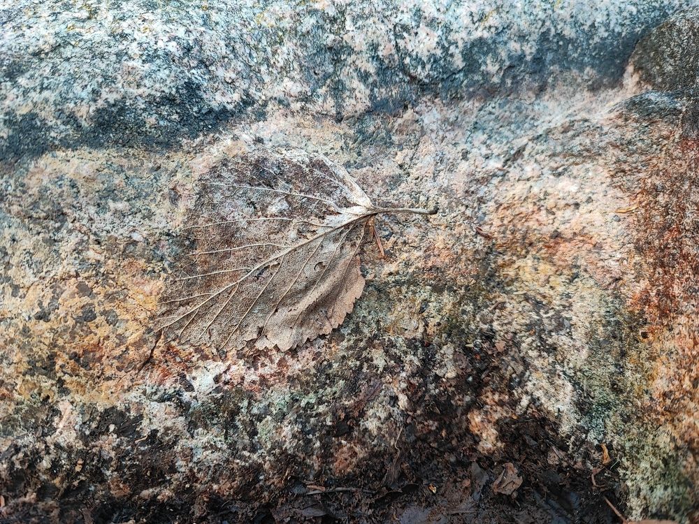 Photograph by Дмитрий Вилюнов