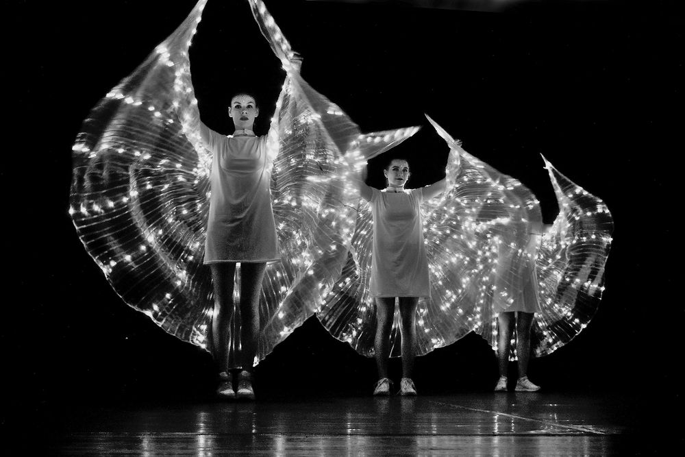 Крылья не мои 002