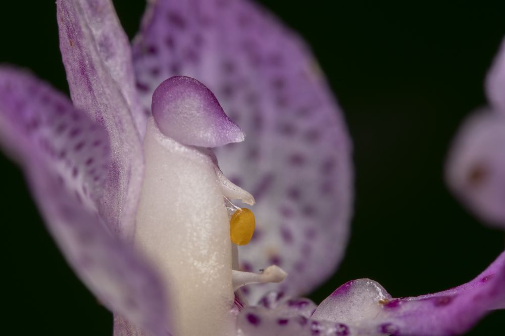 Photograph by Claudia Ruiz