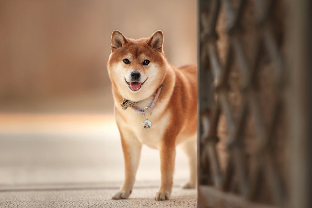 Photograph by Ирина Андреева