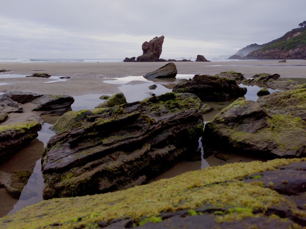 Photograph by Camacho Anto