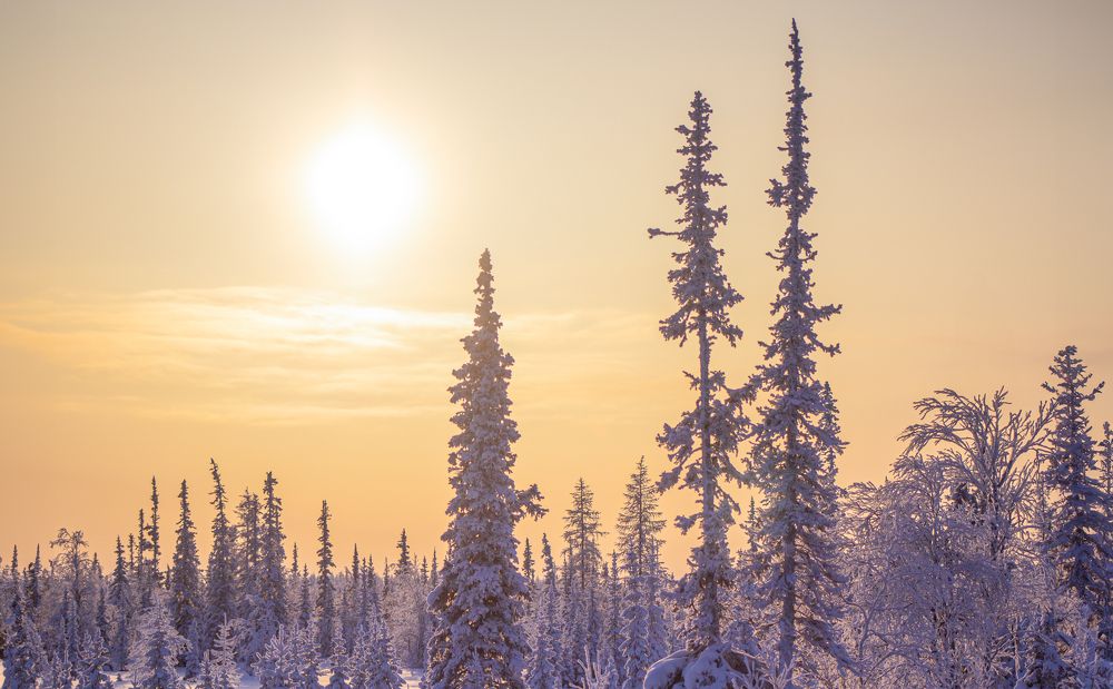 Photograph by Володин Сергей