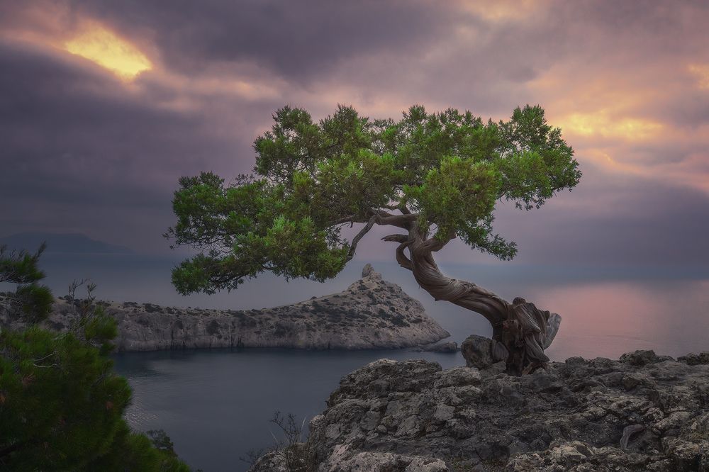 Вид на мыс Капчик