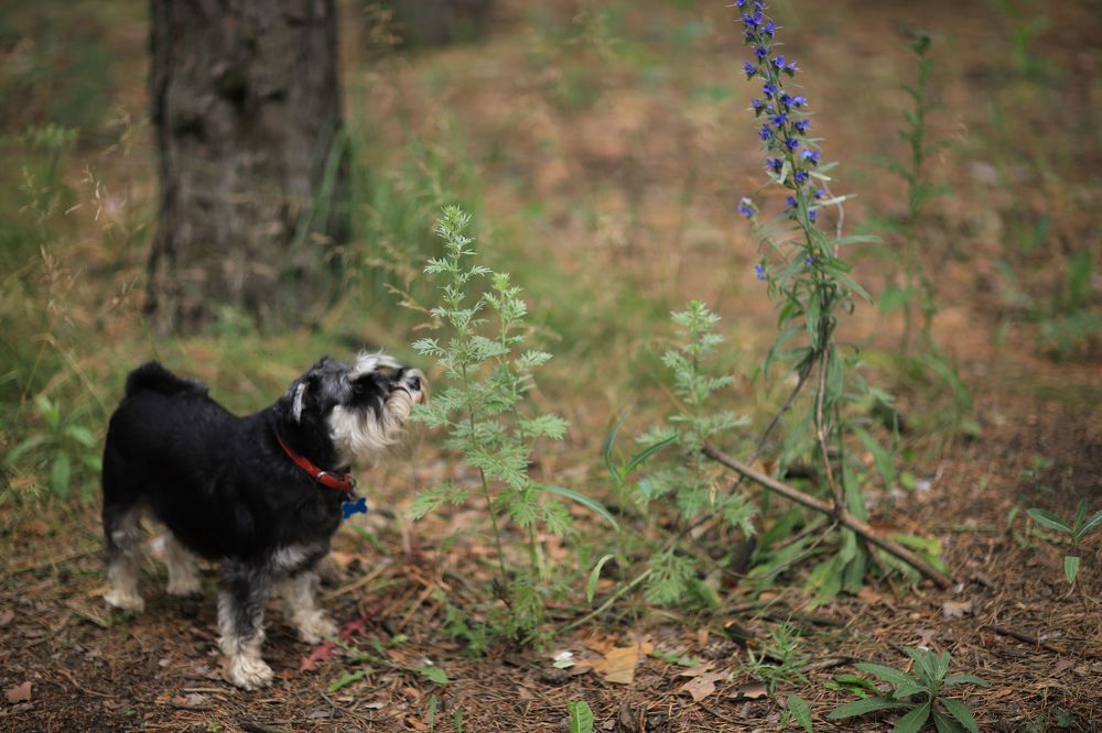 Photograph by Valeriy Bogushev