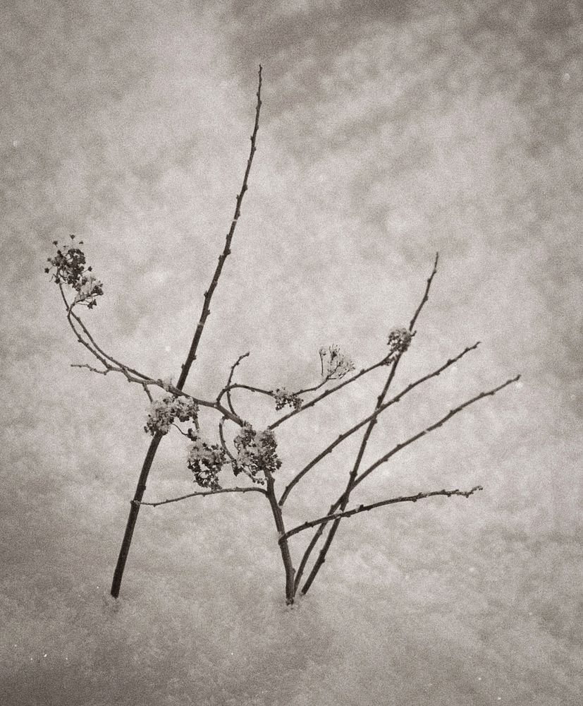 Photograph by Роман