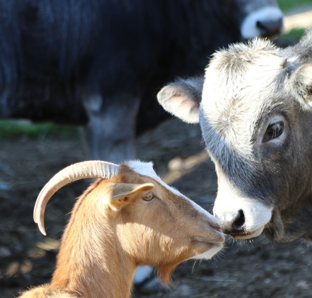 Photograph by Nadzeya