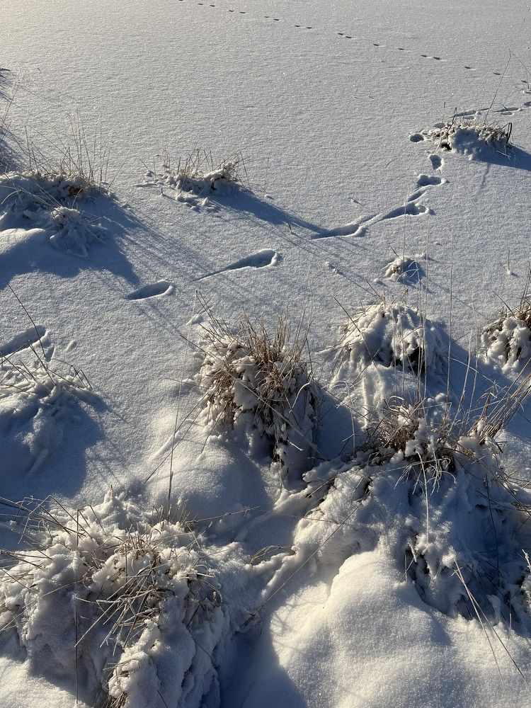 Photograph by Надежда Богачкина