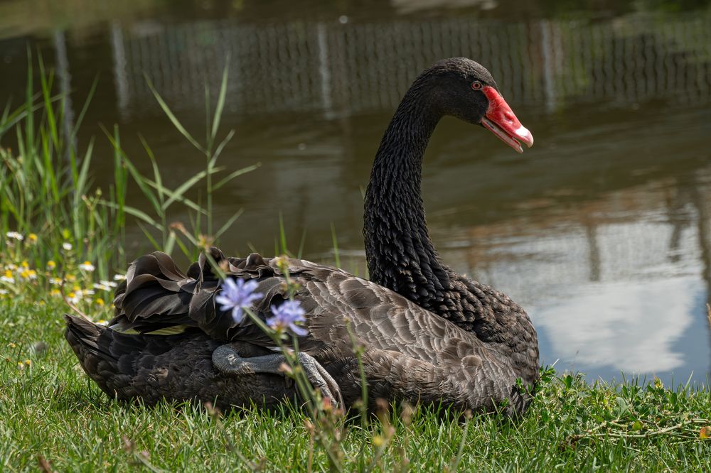 Photograph by Высотских Владимир