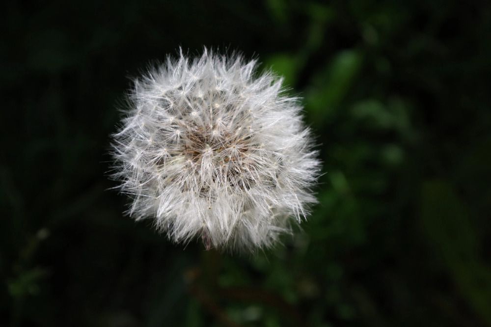 Фотография автора Надежда Аверьянова