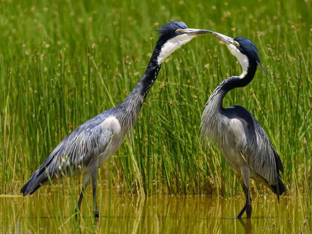 Photograph by Пупонин Сергей