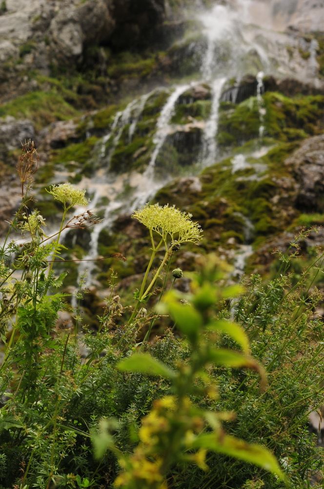 Photograph by Дерезюк Юрий Александрович