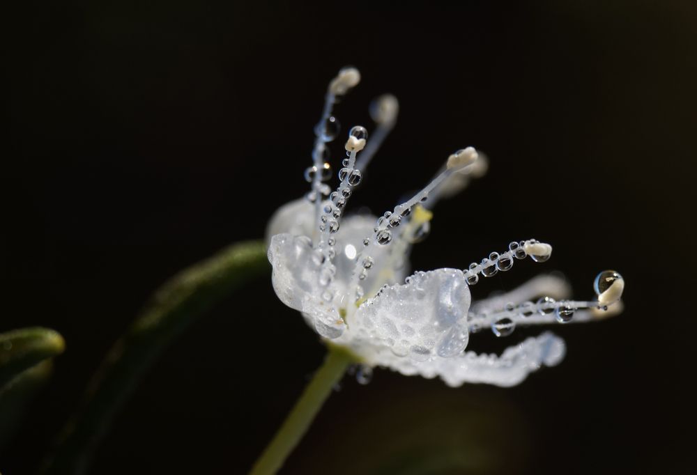 Photograph by Лена Максимкина