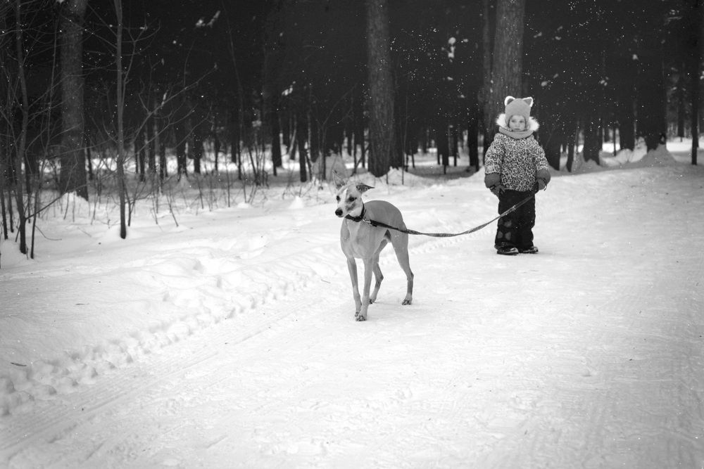 Photograph by Helena Proshkina