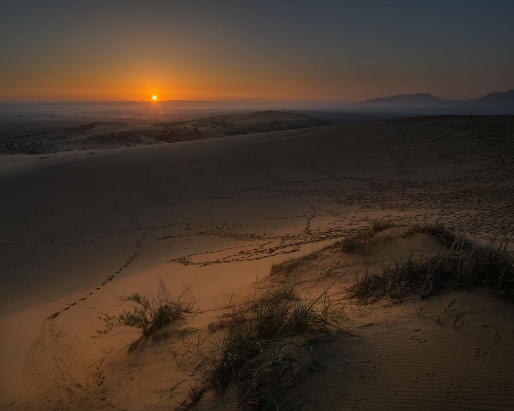 Бархан Сарыкум Дагестан