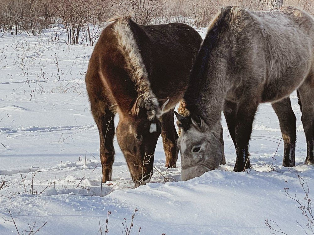 Photograph by Ольга Унутова( Виноградова)
