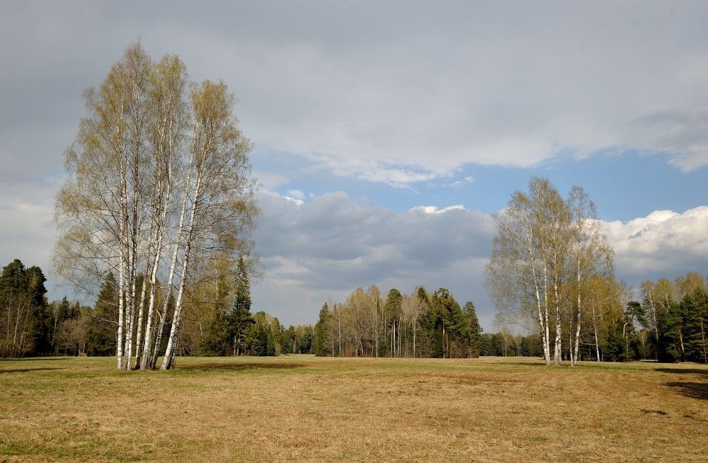 Photograph by Андрей Вестмит