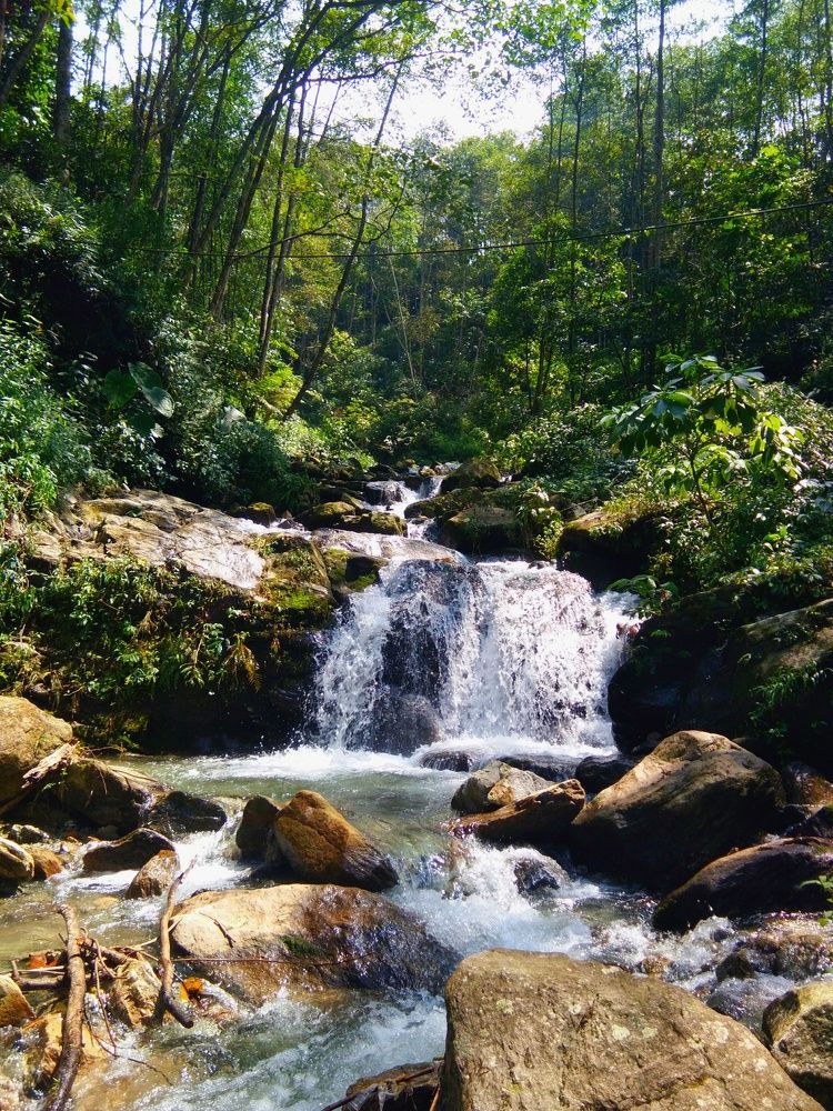 Photograph by Muskan Gorkha Bhujel