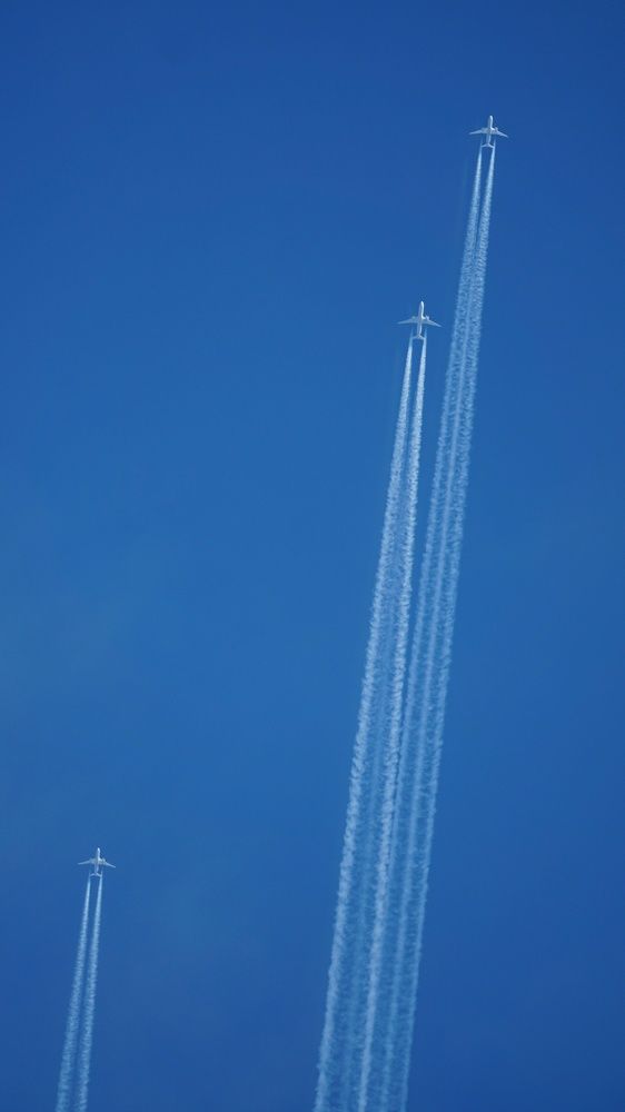 Photograph by Peshehod_ Plus