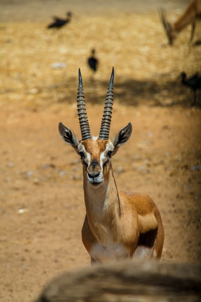 Photograph by Даниил