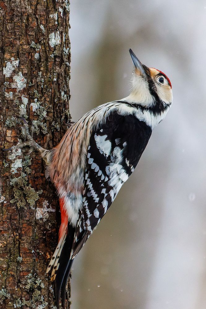 Photograph by Вячеслав Орос