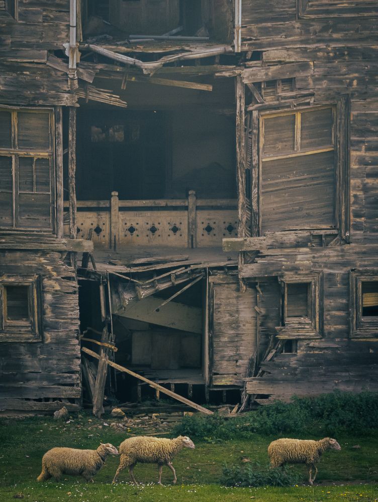 Photograph by Даниил