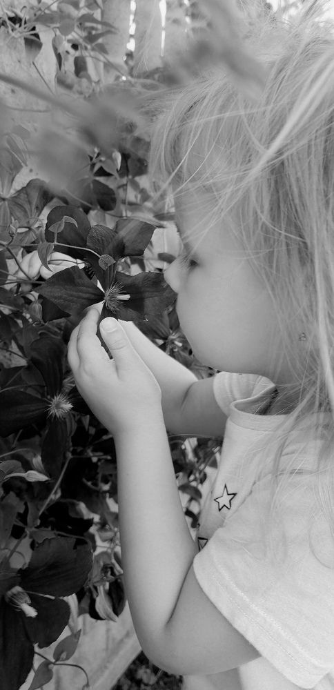 Photograph by Пшенникова Жанна
