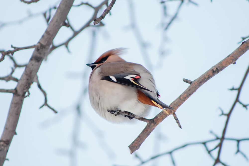 Photograph by Юлия Ташлыцкая