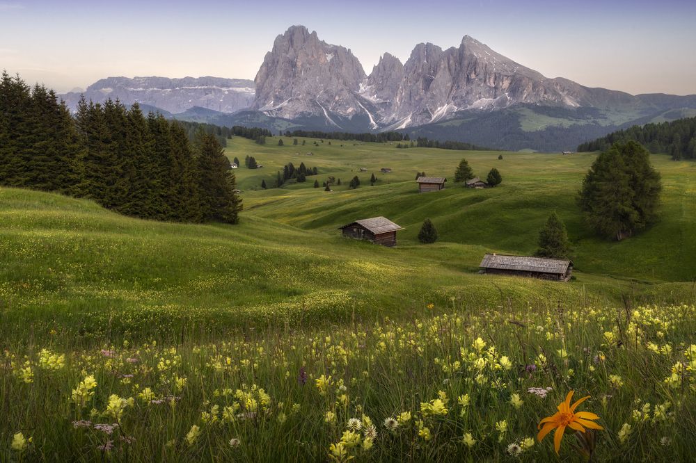 Photograph by Sergio Saavedra Ruiz