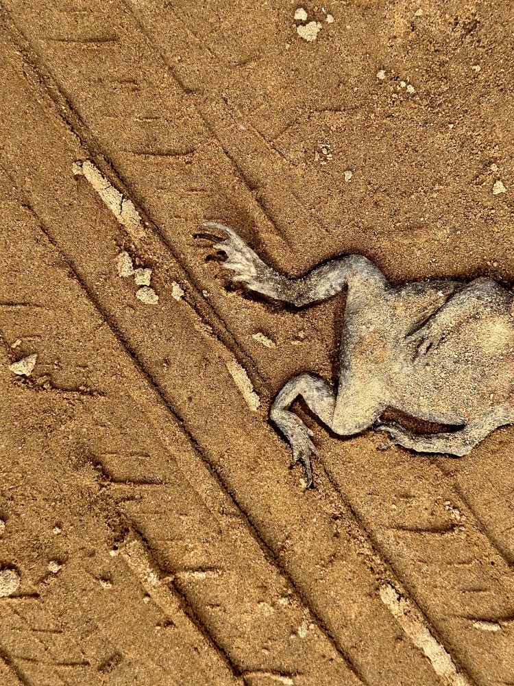 Photograph by Evgenia Barinova