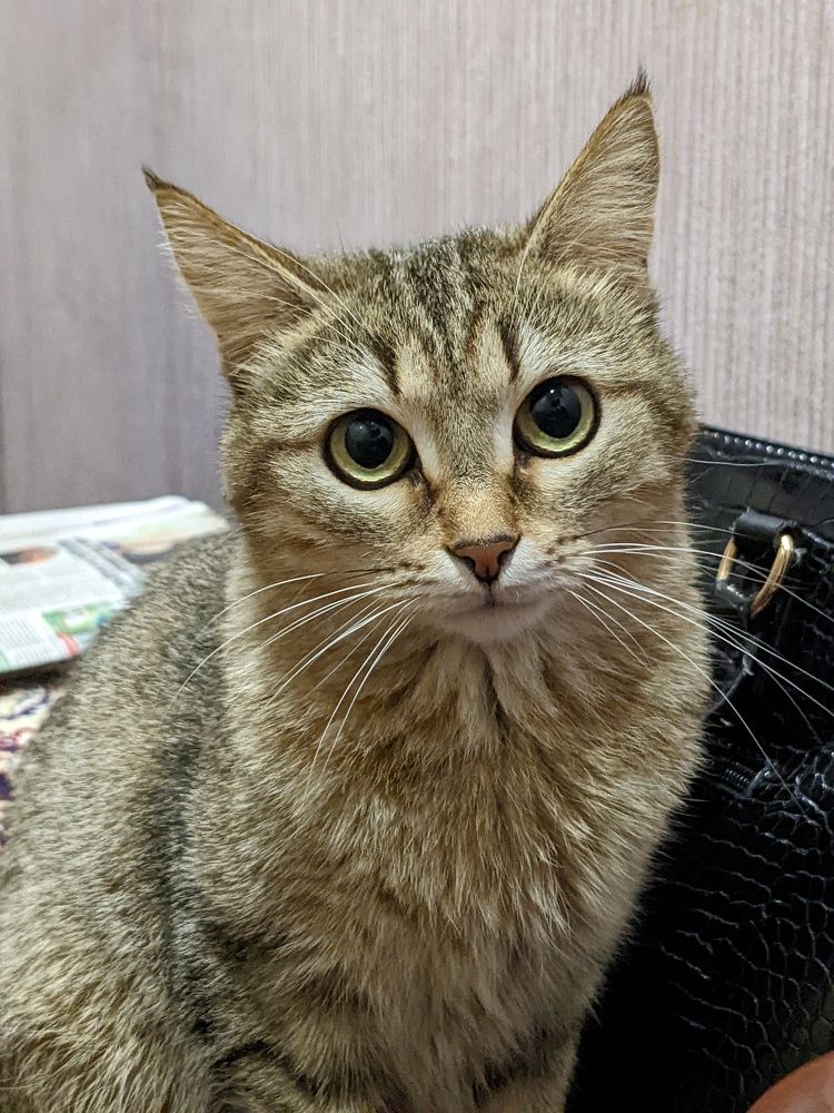 Photograph by Алексей Никифоров