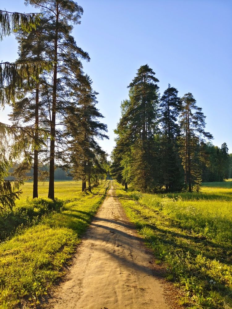 Photograph by Олег Васильев