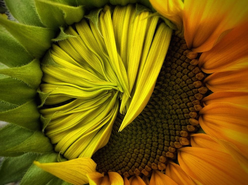 Photograph by Evgenia Barinova