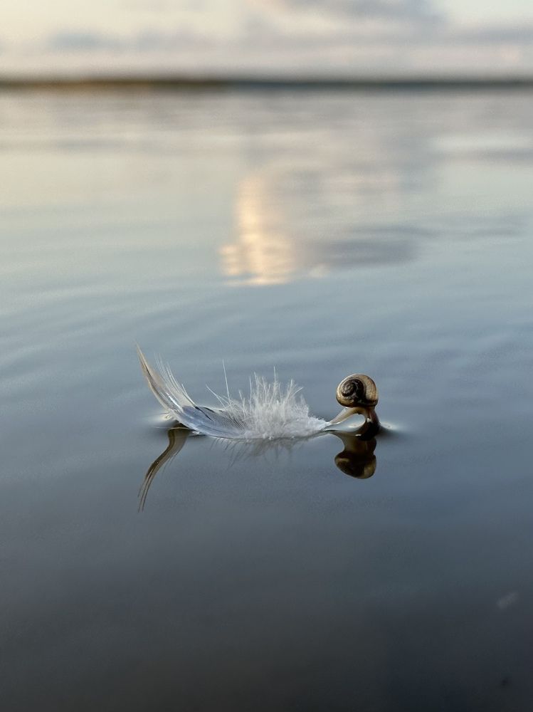 Photograph by Evgenia Barinova