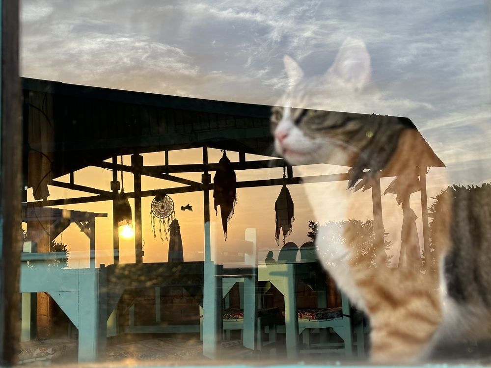 Photograph by Evgenia Barinova