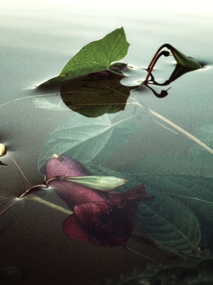 Photograph by Evgenia Barinova