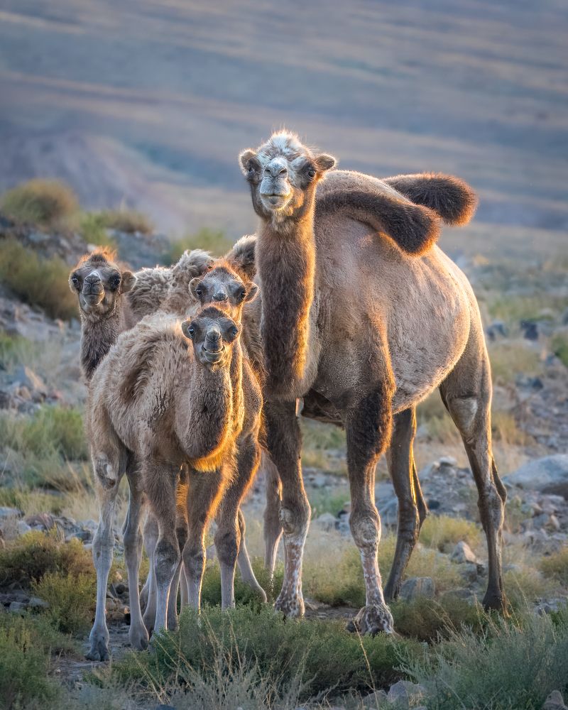Photograph by Екатерина Дубровская