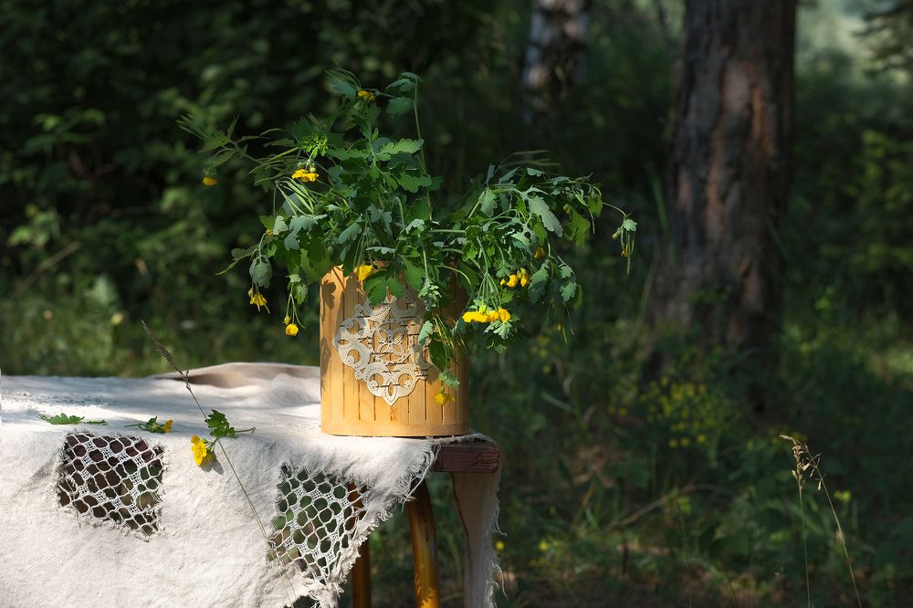 Натюрморт на природе