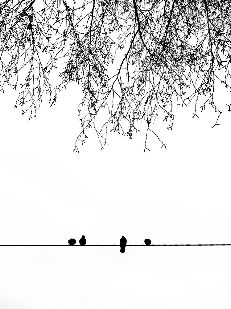 Photograph by Евгений