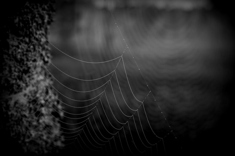 Photograph by Лена Максимкина