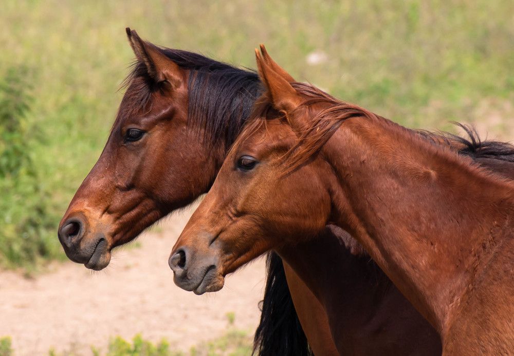 Photograph by Диана Бородзе