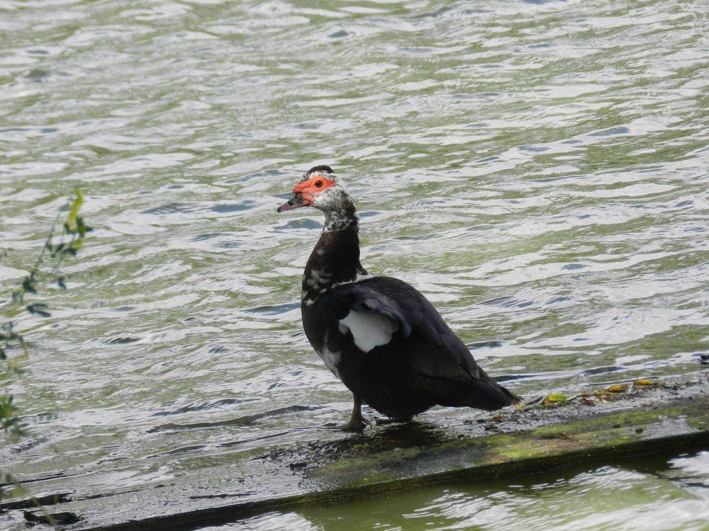 Глазами мира