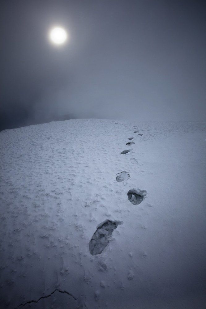 Дорога домой