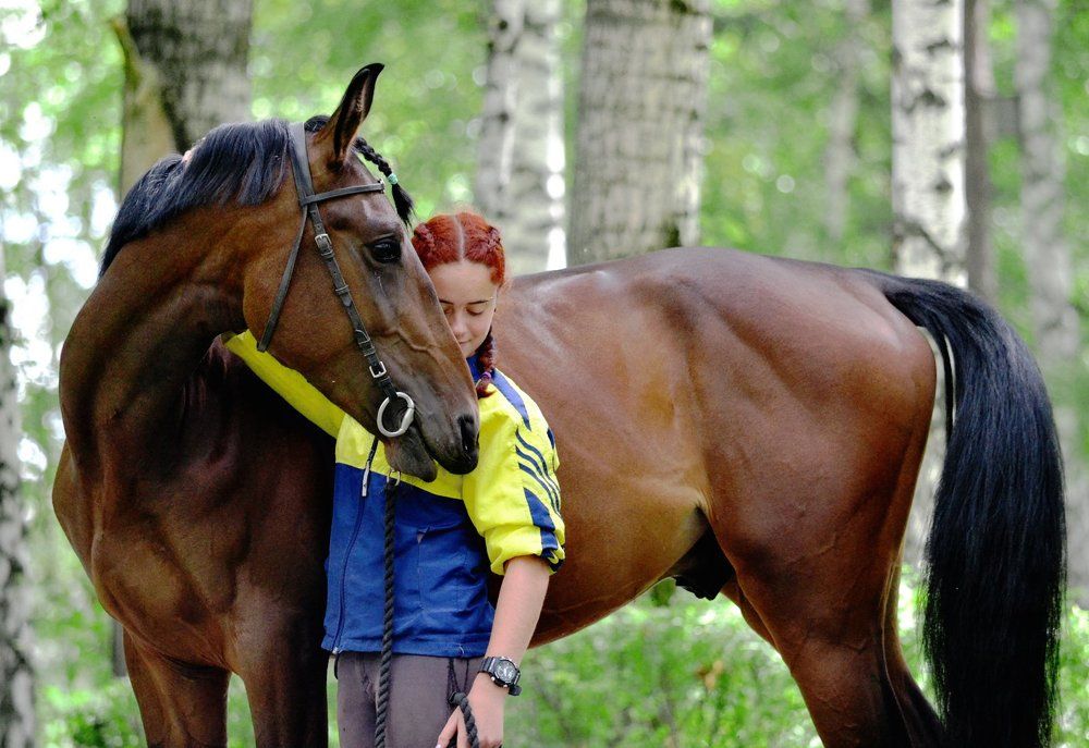 Молчаливая и тихая преданность
