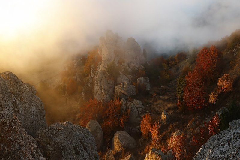 Sergey Shulga, Russia