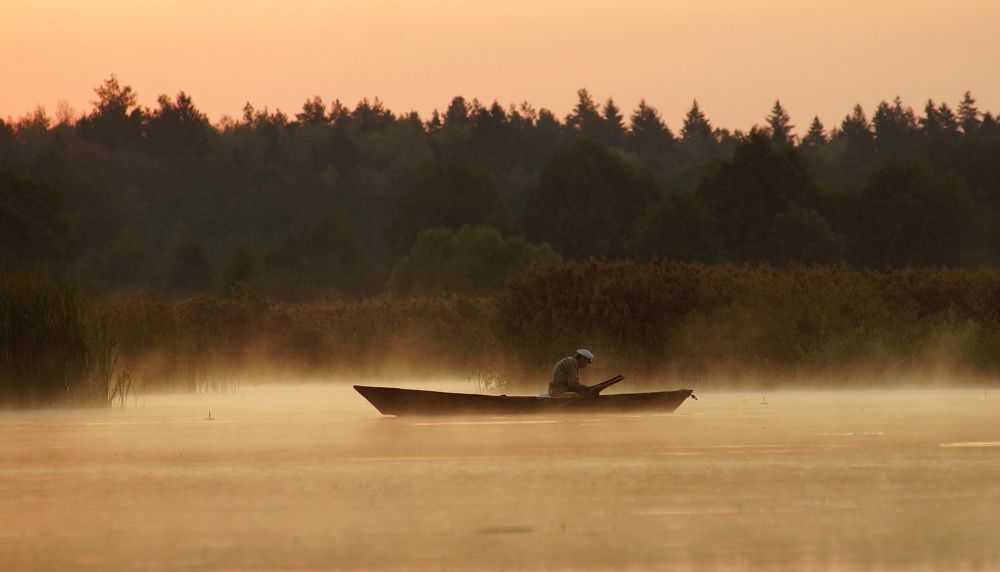 запуталась.