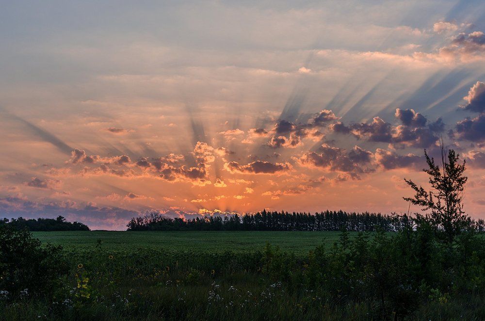 Рукава Будды