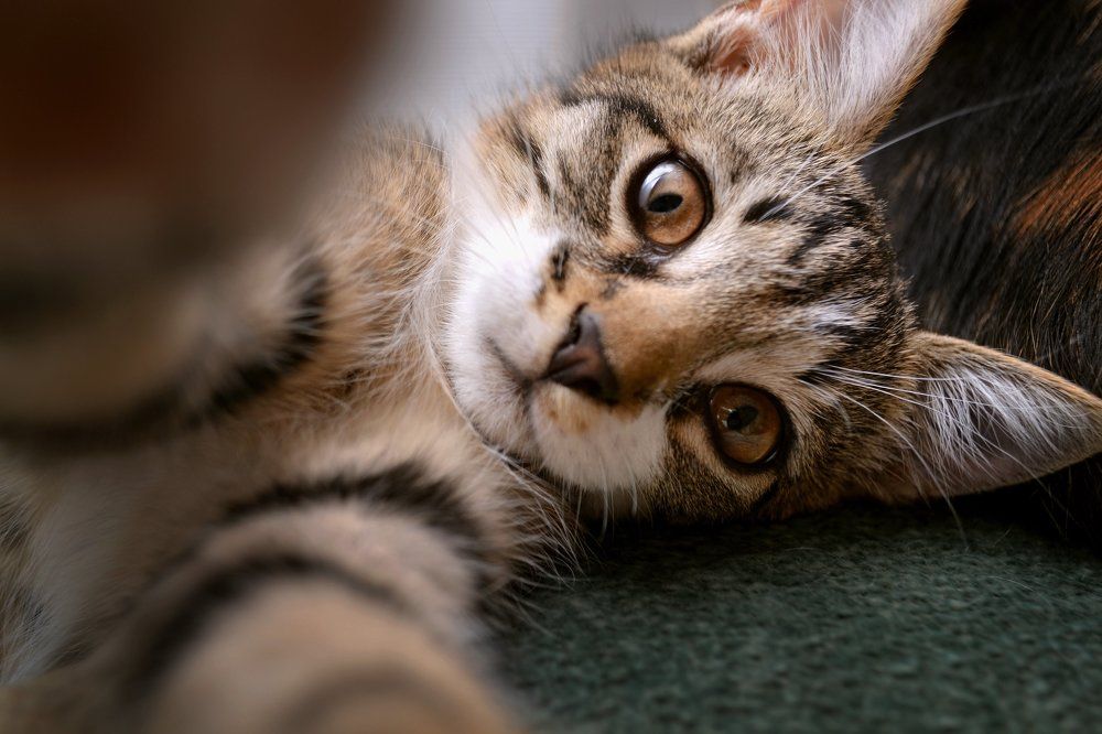 Photograph by Юлия