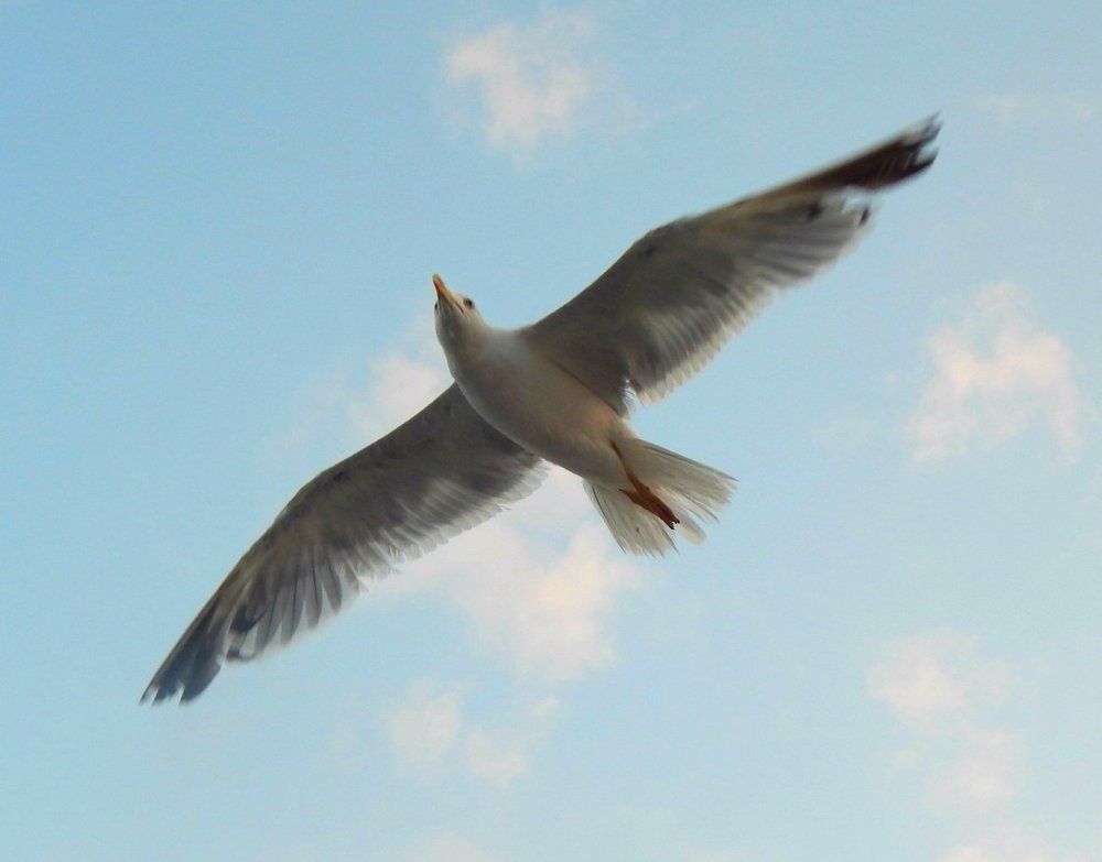 Photograph by Анна