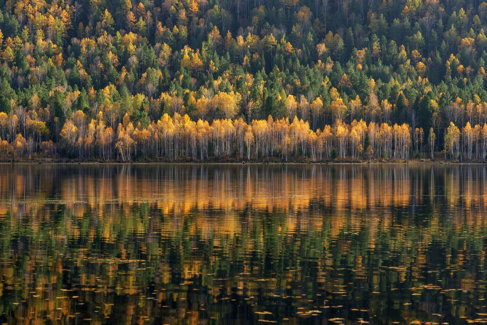 Осенняя палитра
