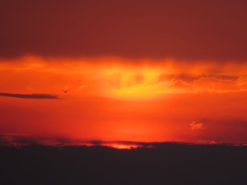 Наталия, Russia